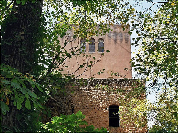memorial monastere arbre